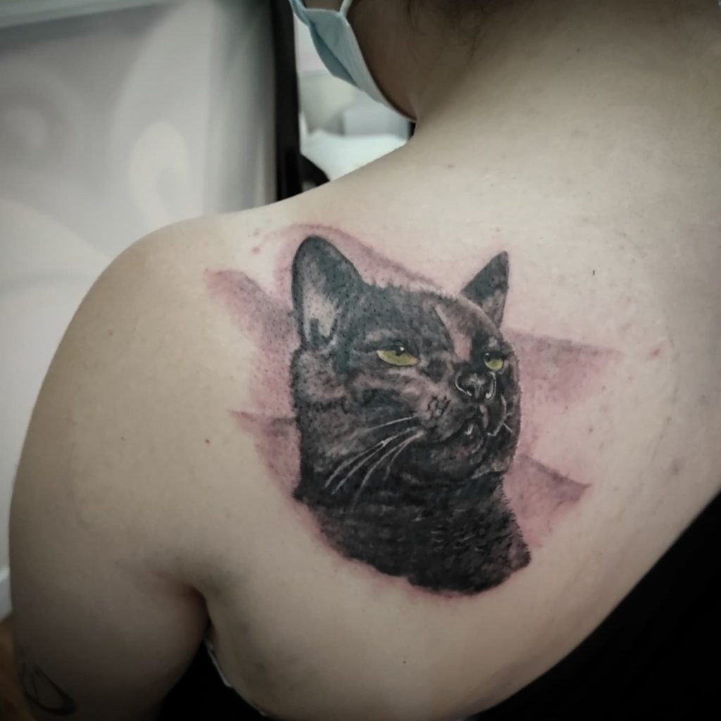 gato retrato realista palencia valladolid tatuaje tienda